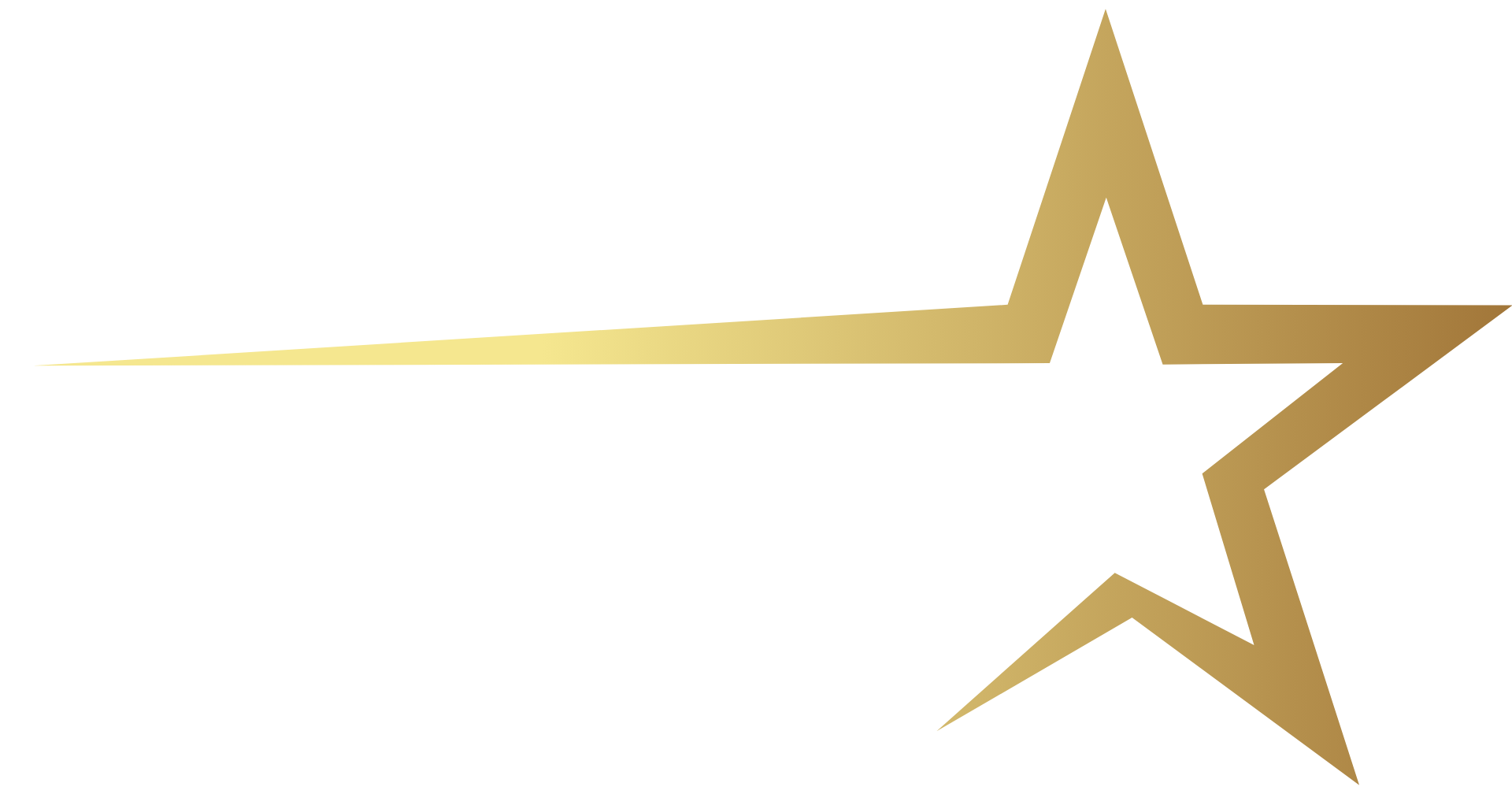 Vicina Logo
